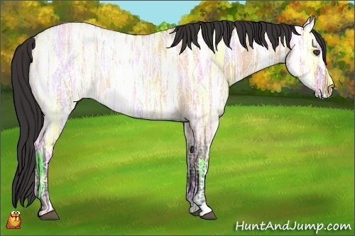 Horse Color:Bay Ice Roan Dun 