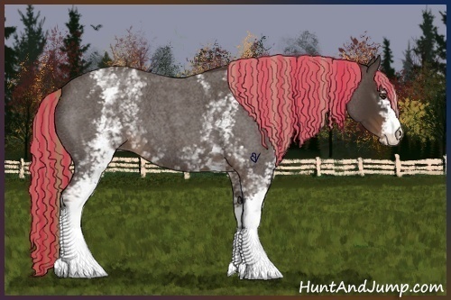 Horse Color:Painted White Spotted Liver Red Roan 