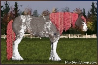 Horse Color:Painted White Spotted Liver Red Roan 