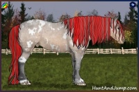 Horse Color:Painted White Spotted Buckskin Roan Varnish 