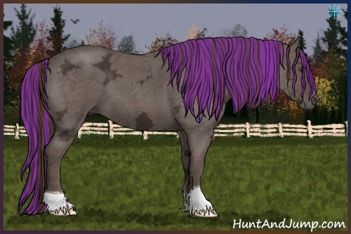 Horse Color:Painted Liver Red Ice Roan