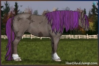 Horse Color:Painted Liver Red Ice Roan