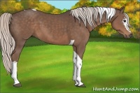 Horse Color:White Spotted Silver Black Tobiano 