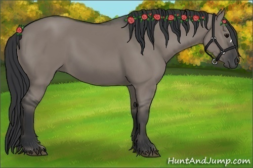 Horse Color:Grullo 