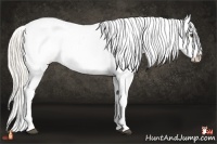 Horse Color:Silver Buckskin Dun Tobiano Leopard 