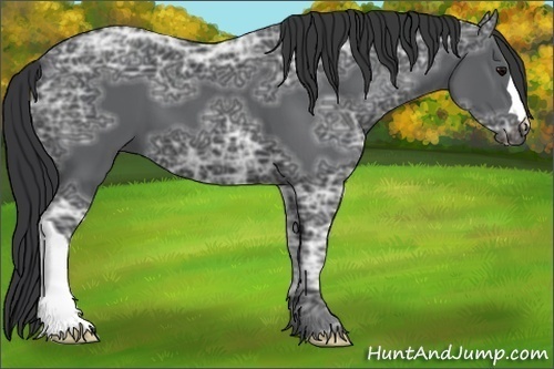 Horse Color:Black Ice 