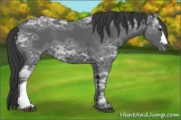Horse Color:Black Ice 