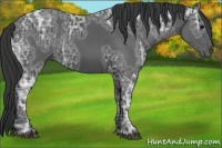 Horse Color:Black Ice 