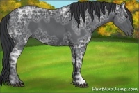 Horse Color:Black Ice 