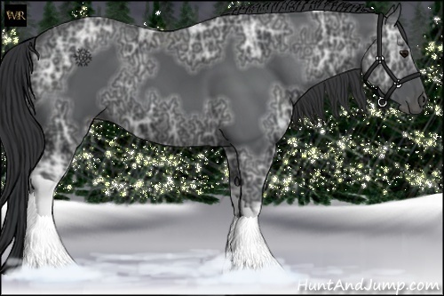 Horse Color:Black Ice 