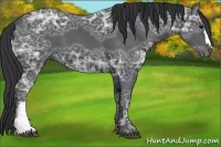 Horse Color:Black Ice 