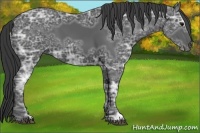 Horse Color:Black Ice 