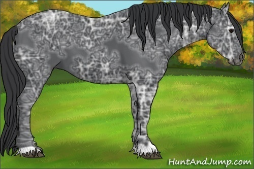 Horse Color:Black Ice 