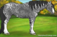 Horse Color:Black Ice 