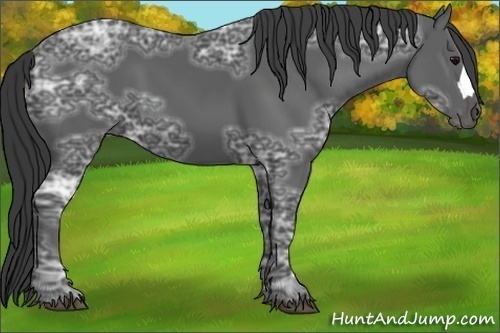 Horse Color:Black Ice 