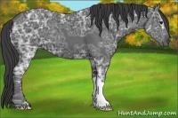 Horse Color:Smoky Black Ice 