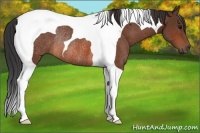 Horse Color:Bay Tobiano Rabicano