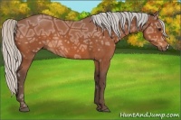 Horse Color:Silver Bay Ice 