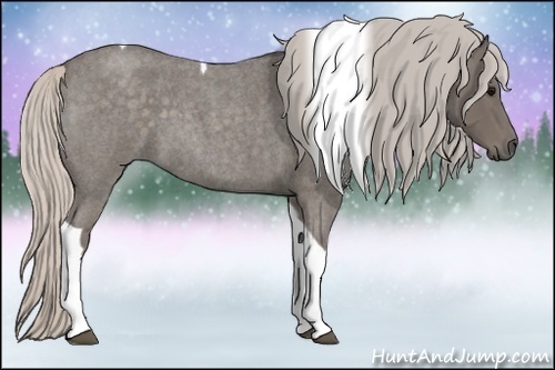 Horse Color:Silver Blue Roan Tobiano