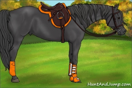 Horse Color:Smoky Black 