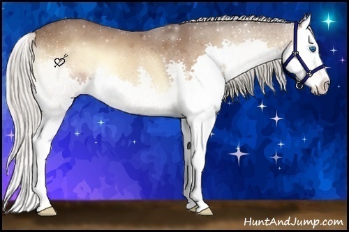 Horse Color:Silver Bay Roan Onyx Splash 