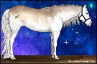 Horse Color:Silver Bay Roan Onyx Splash 