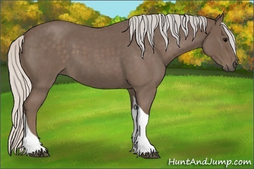 Horse Color:Silver Blue Roan Tobiano 