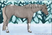 Horse Color:Silver Blue Roan Tobiano 