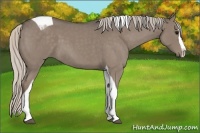 Horse Color:Silver Blue Roan Splash Tobiano 