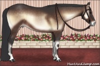 Horse Color:Bay Onyx Rabicano 