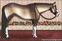 Horse Color:Liver Red Onyx