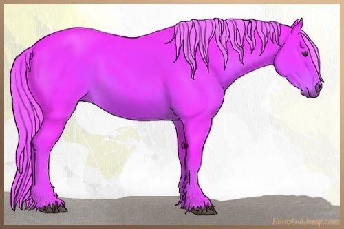 Horse Color:Watercolor Liver Chestnut Sabino 