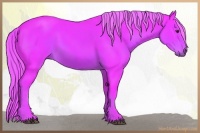 Horse Color:Watercolor Liver Chestnut Sabino