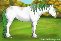 Horse Color:Watercolor White Spotted Amber Champagne Ice Frame Rabicano 