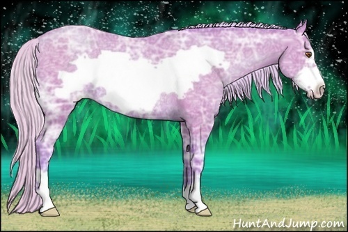 Horse Color:Watercolor Silver Black Ice Pearl Frame Rabicano 
