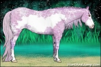 Horse Color:Watercolor Silver Black Ice Pearl Frame Rabicano