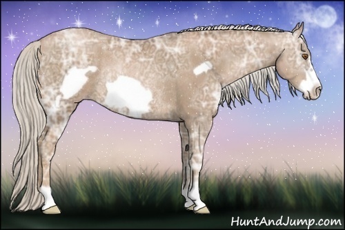 Horse Color:Silver Black Ice Pearl Frame Rabicano