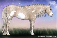 Horse Color:Silver Black Ice Pearl Frame Rabicano