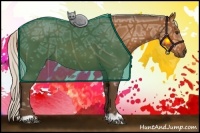 Horse Color:Silver Bay Ice