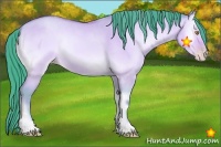 Horse Color:Watercolor Amber Champagne Onyx Sabino