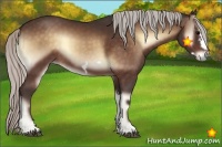 Horse Color:Silver Bay Onyx Frame 