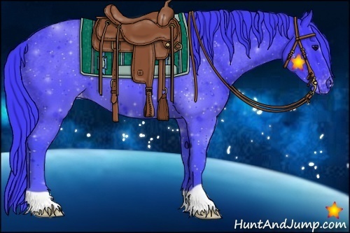 Horse Color:Watercolor Black Appaloosa 