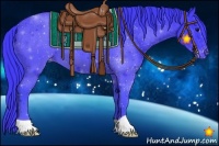 Horse Color:Watercolor Black Appaloosa 