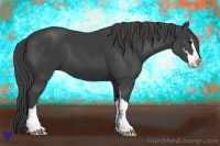 Horse Color:Smoky Black Sabino