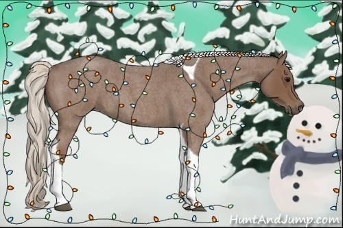 Horse Color:Silver Blue Roan Tobiano 