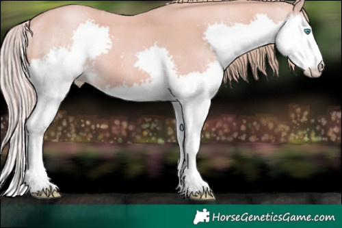 Horse Color:Watercolor Gold Champagne Splash