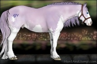 Horse Color:Watercolor Gold Champagne Splash 