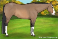Horse Color:Bay Roan Dun Splash