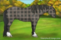 Horse Color:Plaid Black