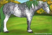 Horse Color:Watercolor White Spotted Buckskin Ice Onyx
